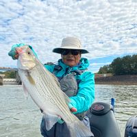 Alabama Bass Fishing