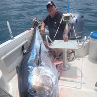 Tuna fishing Half day (4 hrs)
