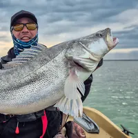 6H Private Predator Fishing – 1 Guest
