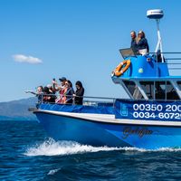 Gibraltar Blue Boat Fishing Trip