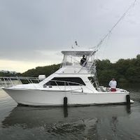 35 ft Cabo yacht Fishing Charter