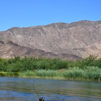 Orange River Yellowfish Safari