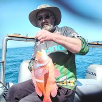 Mossel Bay deepsea fishing charters