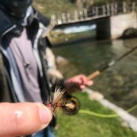 4D & 3N Trout Fly Fishing Trip in Peru