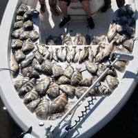 7 hr 3 person  fishing trip