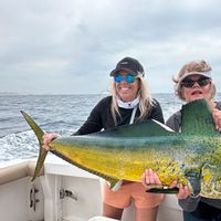 Cabo San Lucas Sportfishing