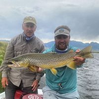 Madison River guided fly fishing!