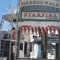 Charter  Boat Starfire