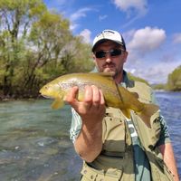 Fishing trout