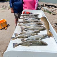Galveston Bay with Corks and Croakers