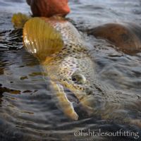 Jefferson River Guided Fly Fishing