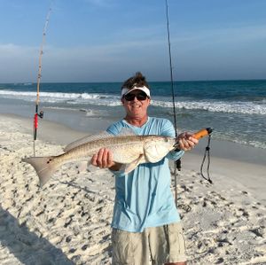 Whiting fishing trips in Pensacola Beach, Florida, United States