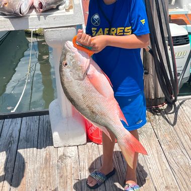 Florida Keys 3/4 Day Reef & Wreck 6hr