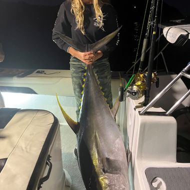 Yellow Fin Tuna