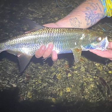 Get ya some charters