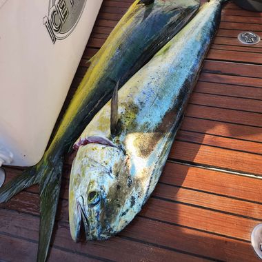 Fishing Mania Charter