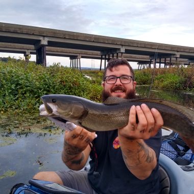 Bowfin 27 yellow on sale