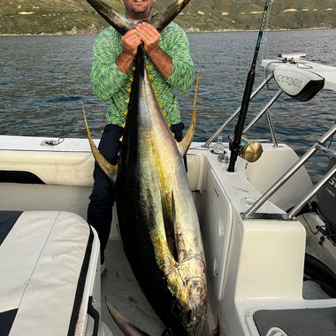 Yellow Fin Tuna