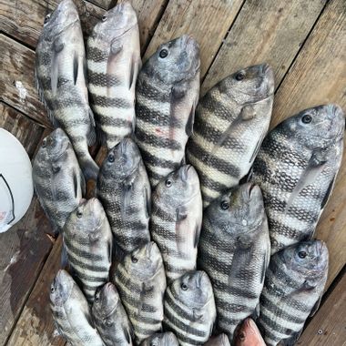 REEL DEAL FISHIN CHARTERS