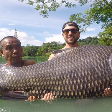 Gillhams Fishing Resorts