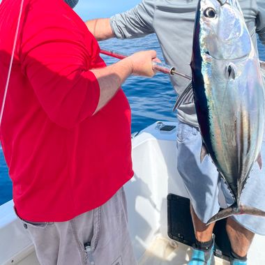 Florida Keys 3/4 Day Reef & Wreck 6hr