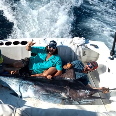 28 ft My Marlin Fishing Charter
