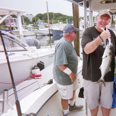 Tiggertoo Charters