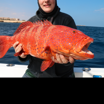 Hottuna Hurghada 24FT