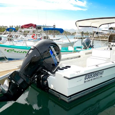 Super Panga Sport Fishing Tour
