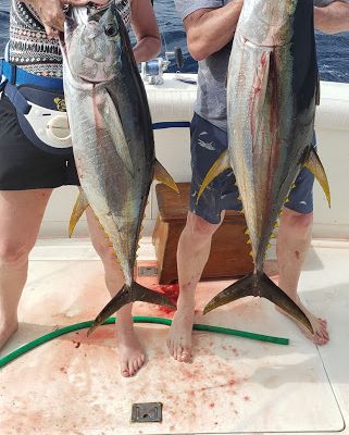 Bonaire Sport Fishing Adventures