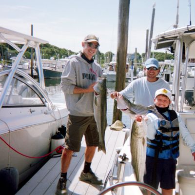 Tiggertoo Charters