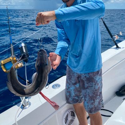 Just Right Florida Charters