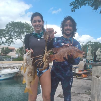 Arpon Spearfishing