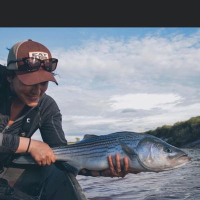 Stewiacke River Striped Bass