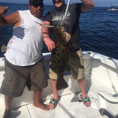 38 ft Sportfisher Nuevo Vallarta Marina