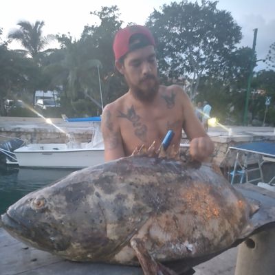 Arpon Spearfishing