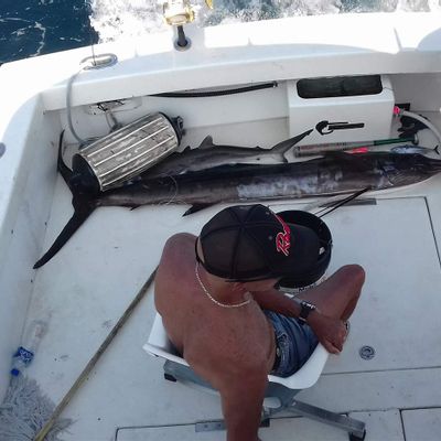 31 ft Sportfisher PV Hook Up