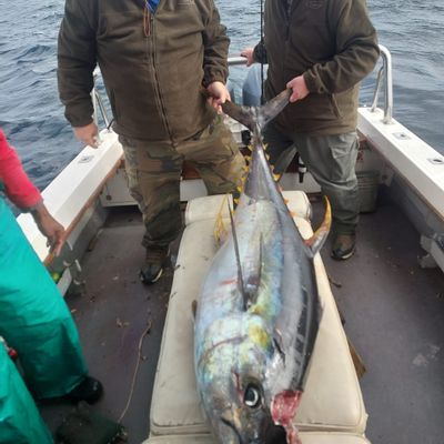 Charter Fishing - Simon's Town