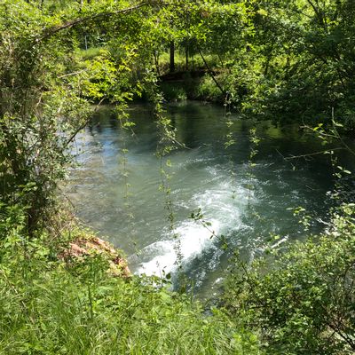Trout Fishing in pvt. Stream + WARRANTY