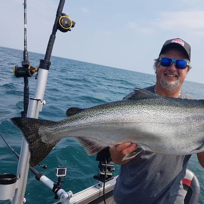 Lake Ontario Salmon and Trout
