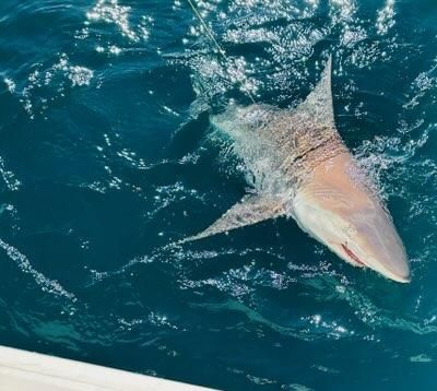 8 hour guided fishing charter