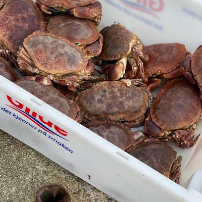 Stay at Fisherman’s Paradise