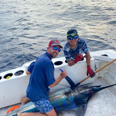 28 ft My Marlin Fishing Charter