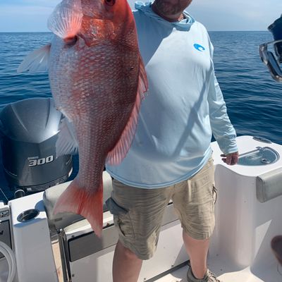 Offshore deep dropping trip 10 hour