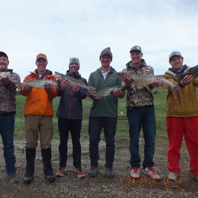 Fort Peck Lake, MT since 1993