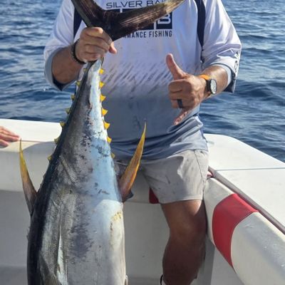 Caña Brava