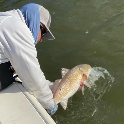 A2 Fishing Charters