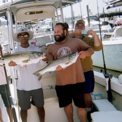 Tiggertoo Charters