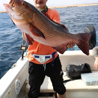 Hottuna Hurghada 24FT