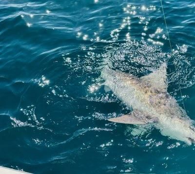 8 hour guided fishing charter